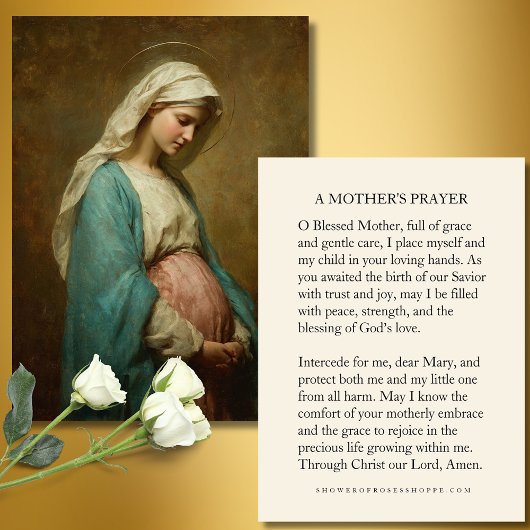 Blessed Mother Prayer Card for Expectant Mothers  Informatiekaartje