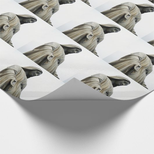 Blessed Virgin Mary Cadeaupapier (Hoek)