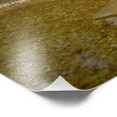 "Blessings in Disguise" Foto Afdruk (Hoek)