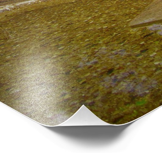 "Blessings in Disguise" Foto Afdruk (Hoek)