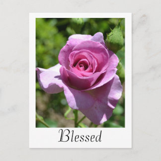 Blessings Roos Briefkaart