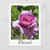 Blessings Roos Briefkaart (Voorkant)