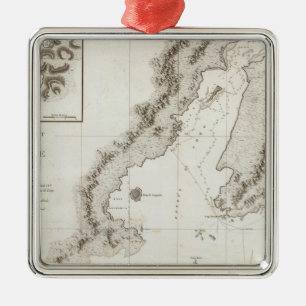 Bliegend geluid op het Alaska-schiereiland Metalen Ornament