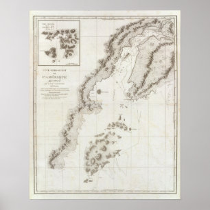 Bliegend geluid op het Alaska-schiereiland Poster