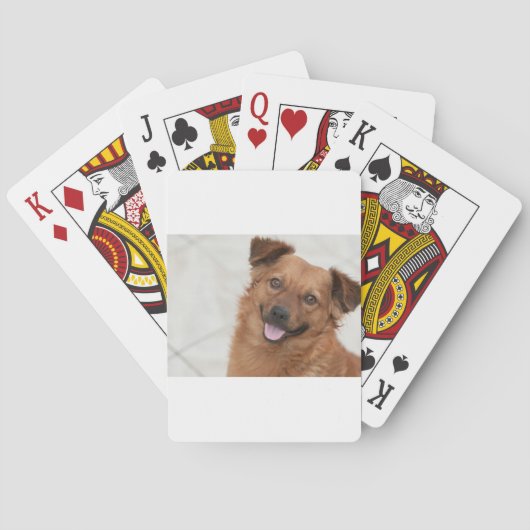 Blij Bruin Puppy Hond Speelkaarten (Achterkant)