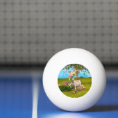 Blij Geit Pingpongbal (Net)