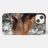 Blij Goofy Chocolade Lab Pit Mix Hond 4 iPhone Hoesje (Achterkant horizontaal)