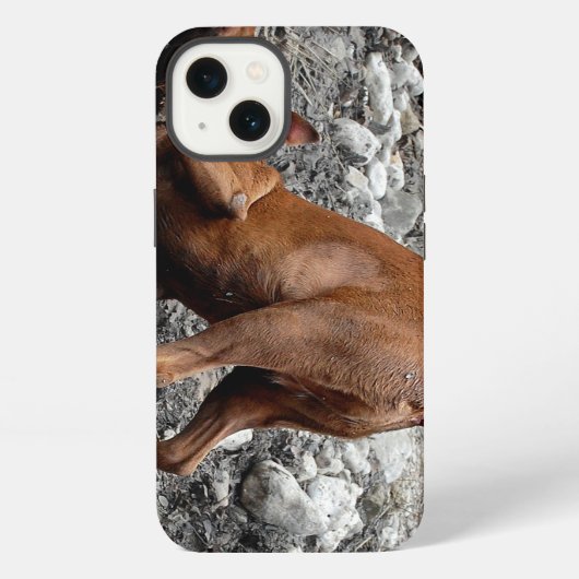 Blij Goofy Chocolade Lab Pit Mix Hond 4 iPhone Hoesje (Achterkant)
