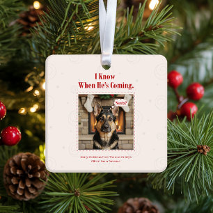 Blij Grappige Hond Huisdier Foto Kerst Vakantie Keramisch Ornament