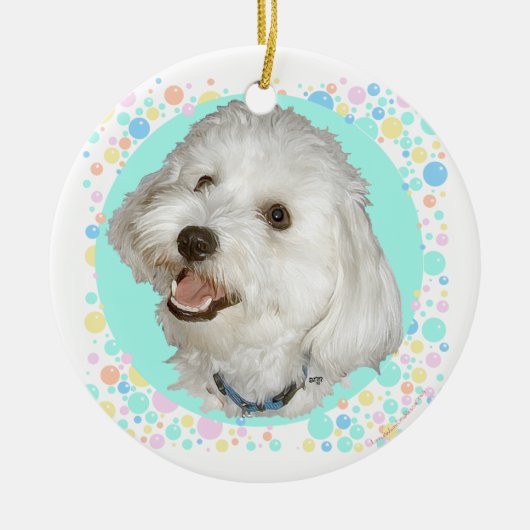 Blij Havanese Keramisch Ornament (Voorkant)