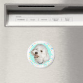 Blij Havanese Magneet (Insitu (Vaatwasser))