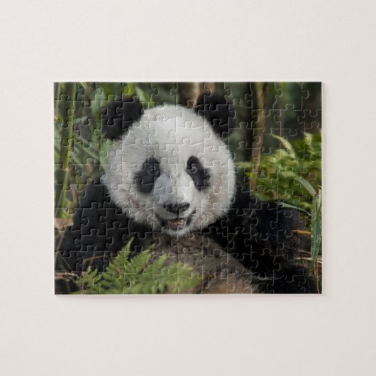 Blij jonge panda, China Legpuzzel (Horizontaal)