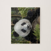 Blij jonge panda, China Legpuzzel (Verticaal)