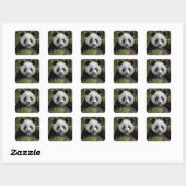 Blij jonge panda, China Vierkante Sticker (Vel)