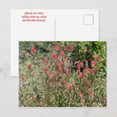 Blij Juli Briefkaart (Voorkant / Achterkant)