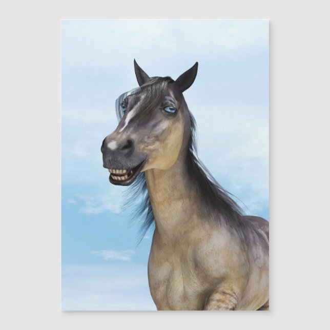 Blij Lachend Grulla Paard (Voorkant)