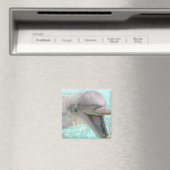 Blij Lachende Dolfijn Magneet (Insitu (Vaatwasser))