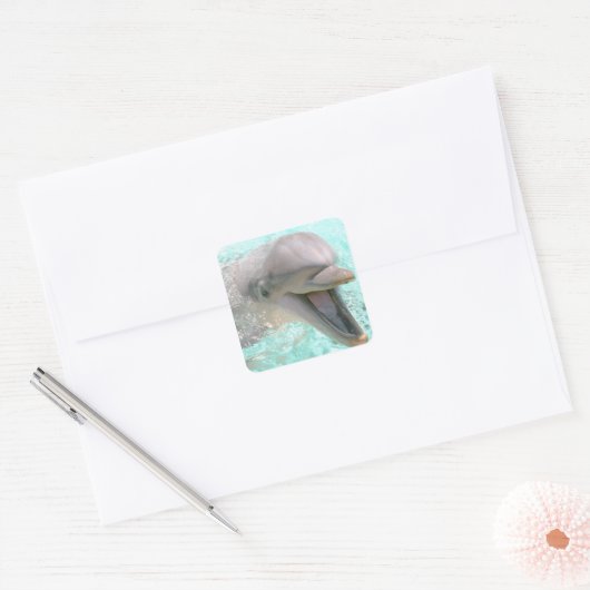 Blij Lachende Dolfijn Vierkante Sticker (Envelop)