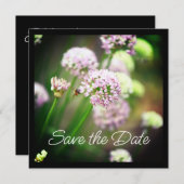 Blij met Paarse diagonale Allium Flowers (Voorkant / Achterkant)