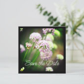 Blij met Paarse diagonale Allium Flowers (Staand voorkant)