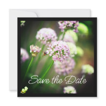 Blij met Paarse diagonale Allium Flowers