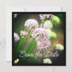 Blij met Paarse diagonale Allium Flowers