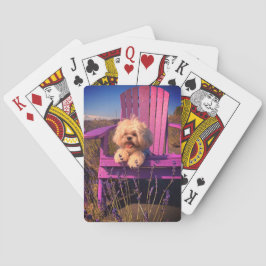 Blij speelse Shih Tzu-puppy, hond die ontspant Pokerkaarten