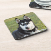 Blij speelse Siberische Husky pup Bier Onderzetter (Linkerzijde)
