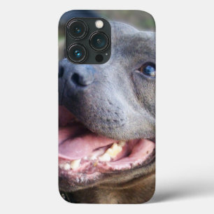 Blij Staffordshire Bull Terrier, Case-Mate iPhone Case