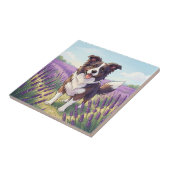 Blijde Border Collie in Lavendelveld Tegeltje (Zijkant)