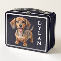 Blijde Dachshond Puppy