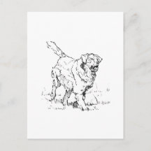 Blijde Golden Retriever, Persoonlijk