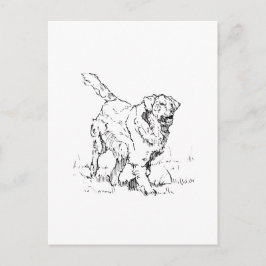Blijde Golden Retriever, Persoonlijk Briefkaart