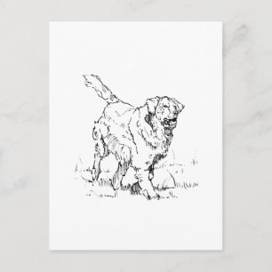 Blijde Golden Retriever, Persoonlijk Briefkaart