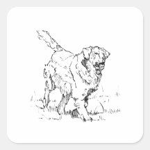 Blijde Golden Retriever, Persoonlijk