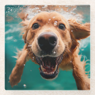 Blijde Goudkleurige Retriever Zwemt Onderwater Glazen Onderzetter