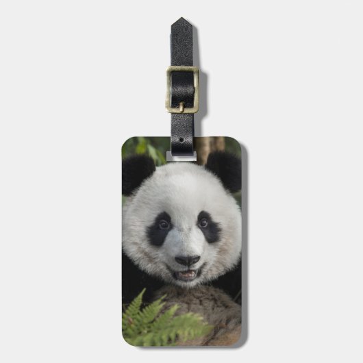 Blijde jonge panda, China Bagagelabel (Voorkant verticaal)