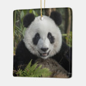 Blijde jonge panda, China Keramisch Ornament (Links)