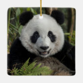 Blijde jonge panda, China Keramisch Ornament (Achterkant)