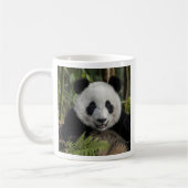 Blijde jonge panda, China Koffiemok (Links)