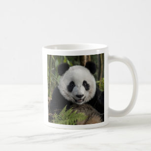 Blijde jonge panda, China Koffiemok