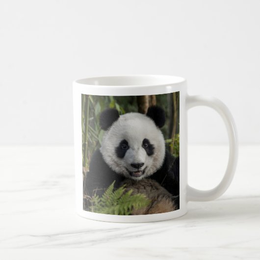 Blijde jonge panda, China Koffiemok (Rechts)