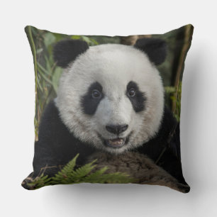 Blijde jonge panda, China Kussen