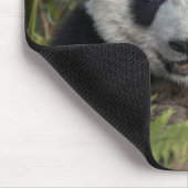 Blijde jonge panda, China Muismat (Hoek)