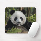 Blijde jonge panda, China Muismat (Met muis)