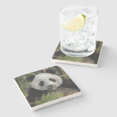 Blijde jonge panda, China Stenen Onderzetter (Zijkant)