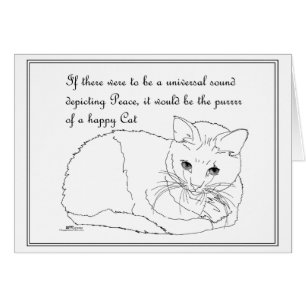 Blijde Kat Snorrr