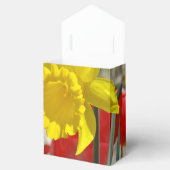 Blijde Verpleegsters Week geschenk favor doosjes h (Geopend)