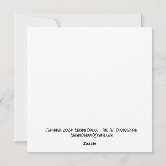 Blijdschap aan de wereld met Jeremia - 5.25in SQ.  Feestdagenkaart (Achterkant)