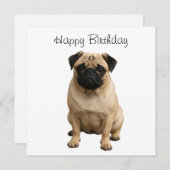 blije verjaardagskaart feestdagenkaart (Voorkant / Achterkant)